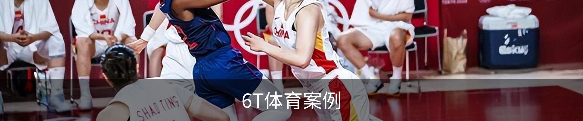 6T体育案例