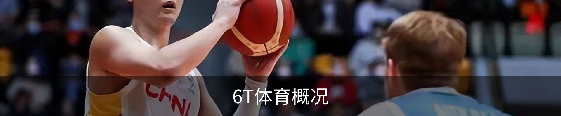 6T体育概况